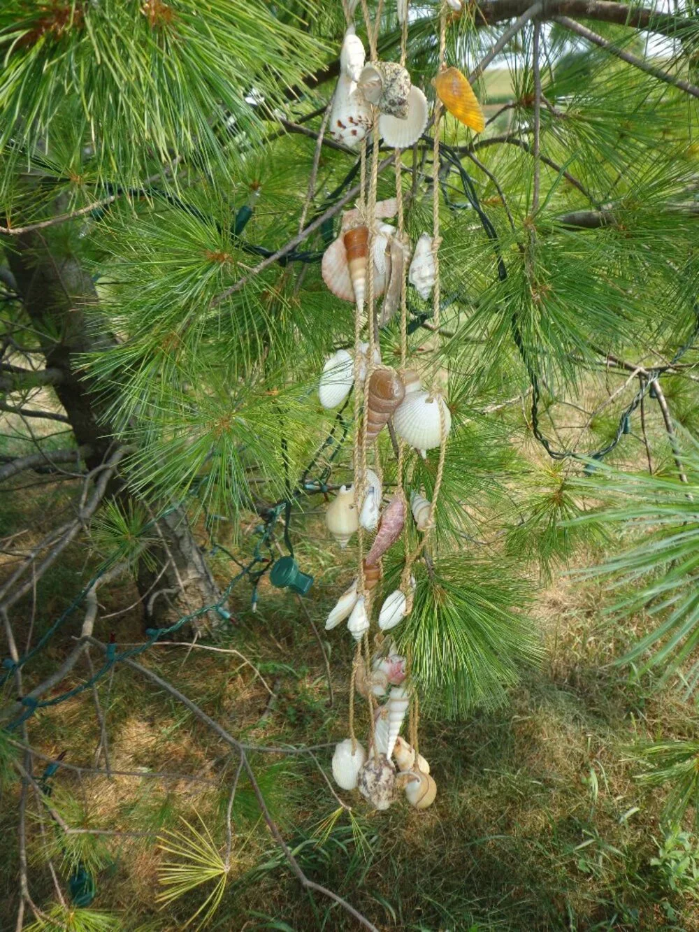 Sea Shells/Rope Wind Chime Nautical Coastal Authentic Various Shells 32